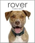 Rover