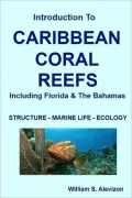 Introduction To Caribbean Coral Reefs