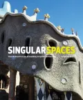 Singular Spaces