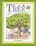 Oak Tree