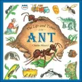 Life and Times of the Ant