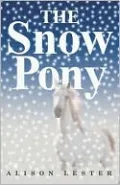 Snow Pony