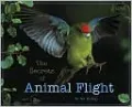 Secrets of Animal Flight