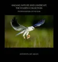 ANZANG Nature and Landscape: The Fourth Collection: Photographer of the Year Competition