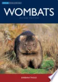 Wombats by Barbara Triggs — book cover