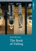 The Book of Falling