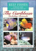 Reef Fishes, Corals and Invertebrates of the Caribbean: A Diver's Guide
