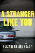 A Stranger Like You