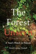 The Forest Unseen
