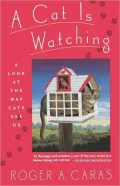 A Cat Is Watching