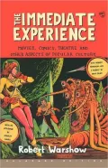 Immediate Experience