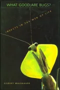 What Good Are Bugs?: Insects in the Web of Life