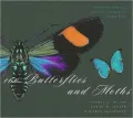 100 Butterflies and Moths: Portraits from the Tropical Forests of Costa Rica
