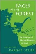 Faces In The Forest