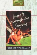 Insects Through the Seasons