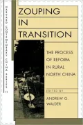 Zouping In Transition