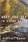 What You See in Clear Water