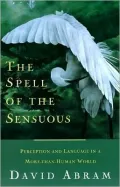 The Spell of the Sensuous