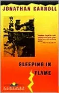 Sleeping in Flame