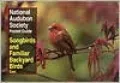 Songbirds and Familiar Backyard Birds: Eastern Region, Vol. 2