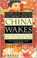 China Wakes: The Struggle for the Soul of a Rising Power