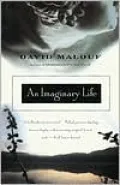 An Imaginary Life