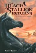 The Black Stallion Returns
