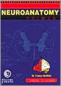 Neuroanatomy Primer: Color to Learn