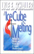 Ice Cube Is Melting: What Is Really at Risk in United Methodism