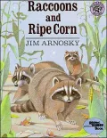 Raccoons and Ripe Corn