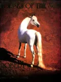 Horses of the Sun: A Gallery of the World's Most Exquisite Equines