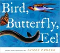 Bird, Butterfly, Eel