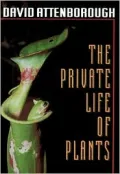 The Private Life of Plants