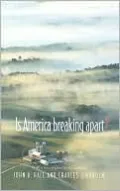 Is America Breaking Apart?