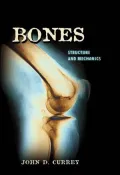 Bones