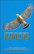 A Photographic Guide to North American Raptors