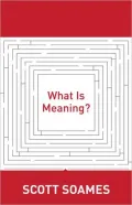 What Is Meaning?