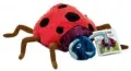 The Grouchy Ladybug
