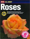 All about Roses