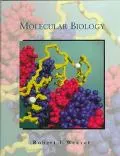 Molecular Biology