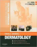 Saunders Solutions in Veterinary Practice: Small Animal Dermatology