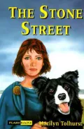 The Stone Street : An Adventure Set in Roman Britian