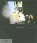 Joel Meyerowitz