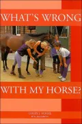 What's Wrong with My Horse?