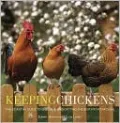 Keeping Chickens: The Essential Guide