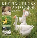Keeping Ducks & Geese