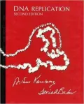 DNA Replication