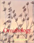Ornithology: Michelangelo, Florence, and the David 1492-1504