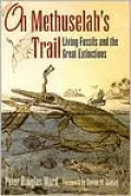 On Methuselah's Trail: Living Fossils and the Great Extinctions