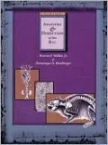 Anatomy & Dissection of the Rat